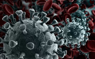 comunicado coronavirus