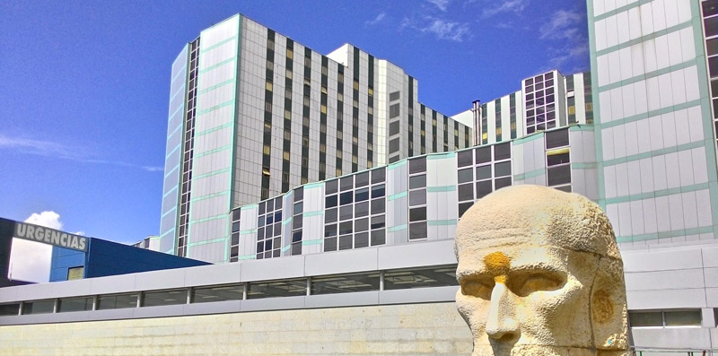 hospital universitario ramon y cajal inmunologia madrid