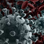 Criterios para valorar nuevas alternativas antivirales frente al Sars-Cov-2