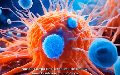 video inmunodeficiencias primarias hospital la fe valencia